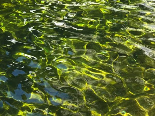 THE EROTIC AS POWER – AUDRE&nbsp;LORDE